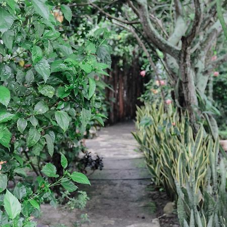 Tiara Homestay Plambi Exterior photo