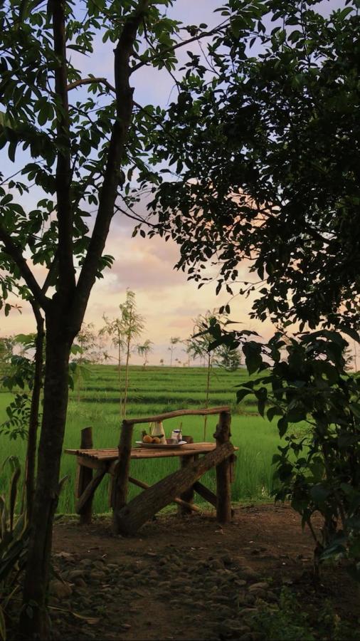 Tiara Homestay Plambi Exterior photo