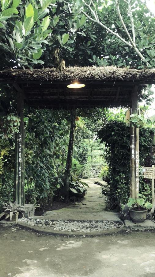 Tiara Homestay Plambi Exterior photo